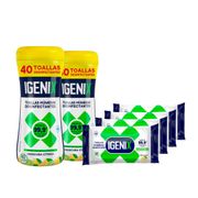 Pack Toallas Húmedas Igenix